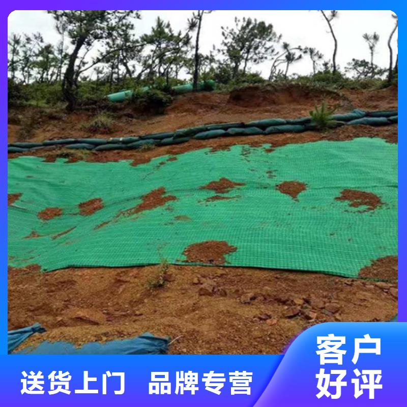 椰丝毯膨润土防水毯实力派厂家