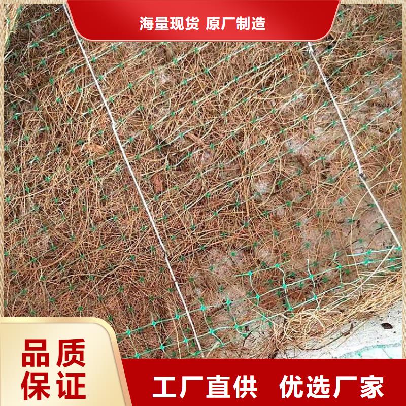 椰丝毯【土工席】精品选购