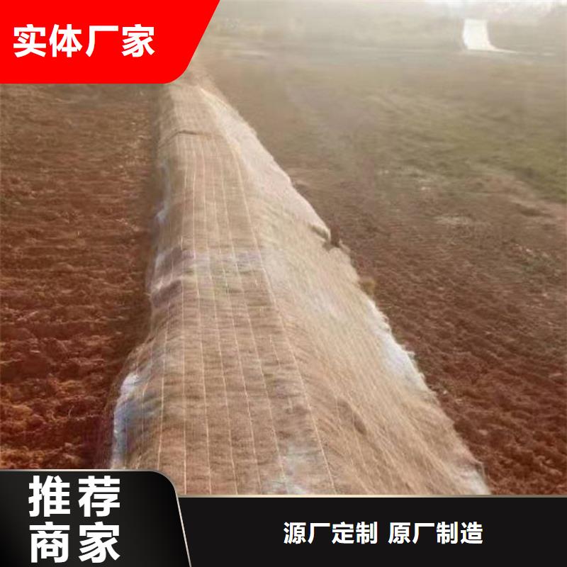 加筋抗冲生态毯