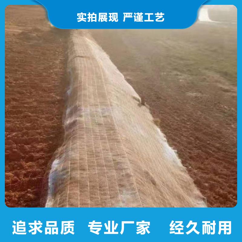 椰丝植生毯价格优惠