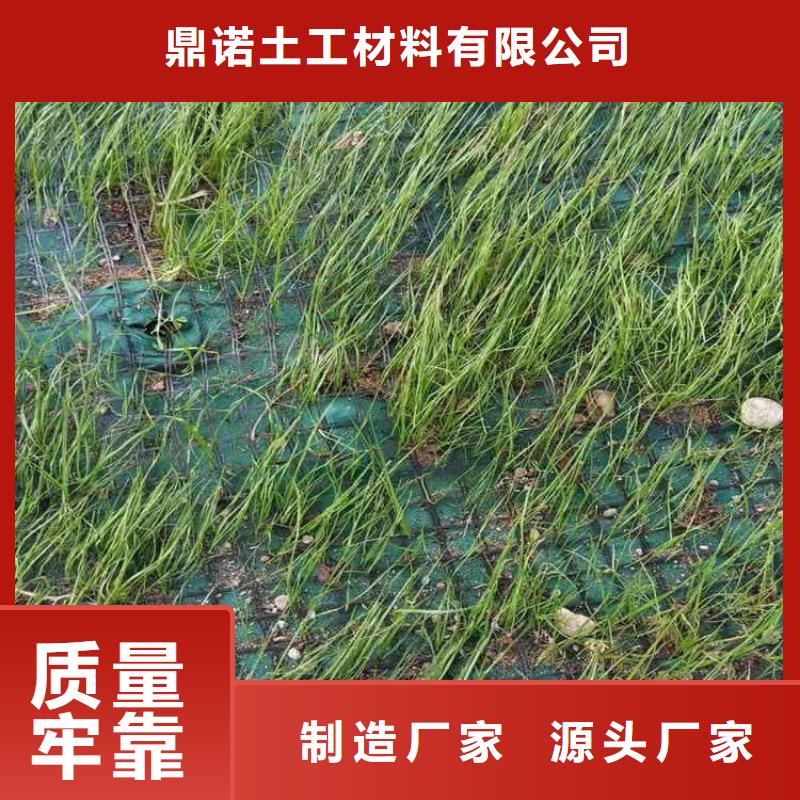 纤维毯植草