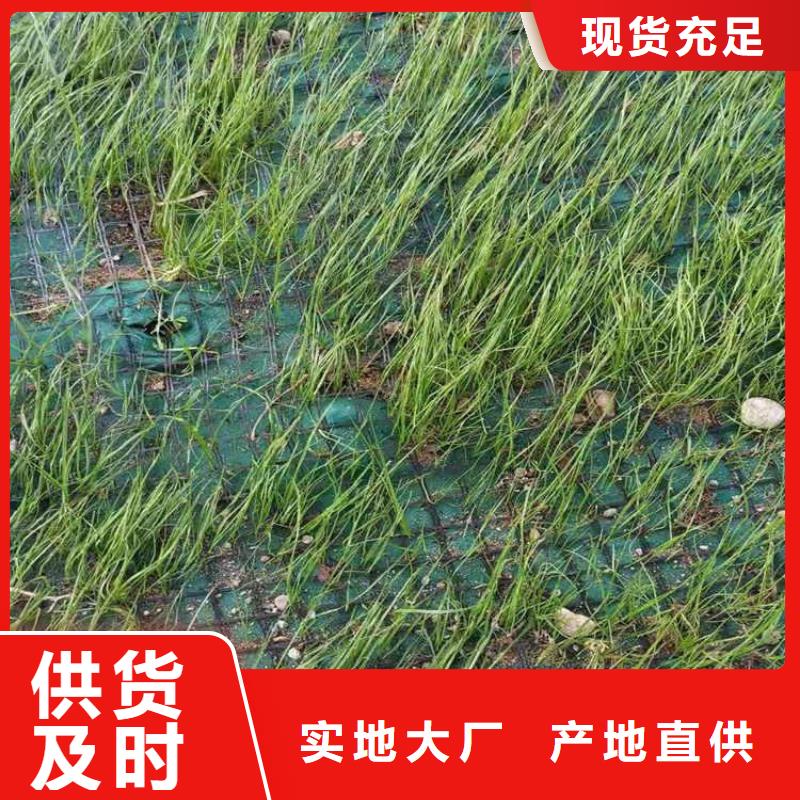 椰丝毯软式透水管专业信赖厂家