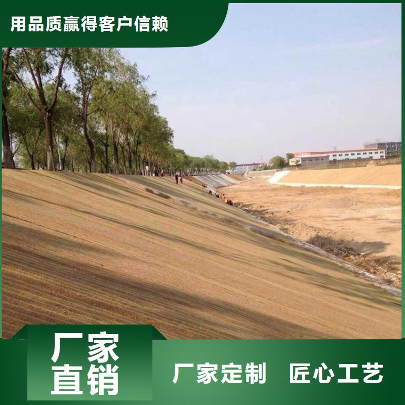 生态植物防护毯抗冲刷生态毯