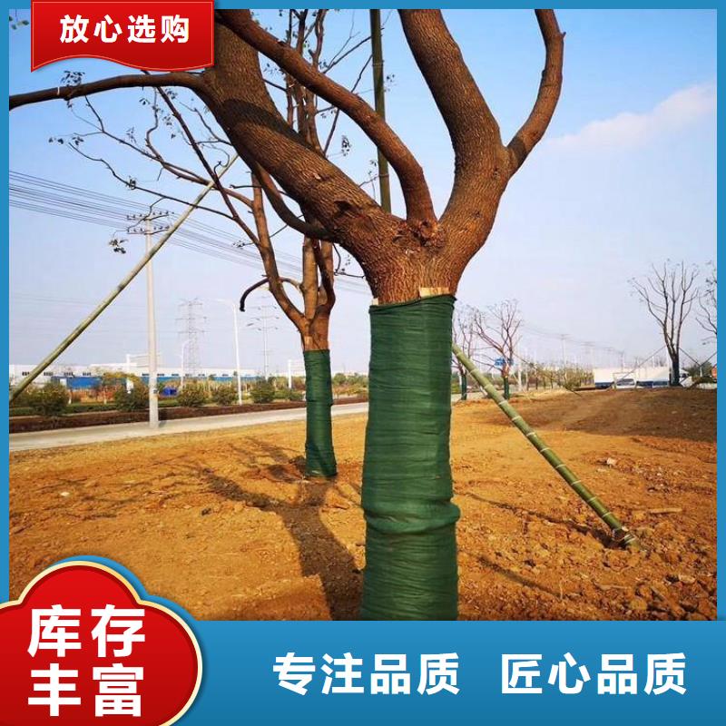 裹树布保湿布一站式采购商