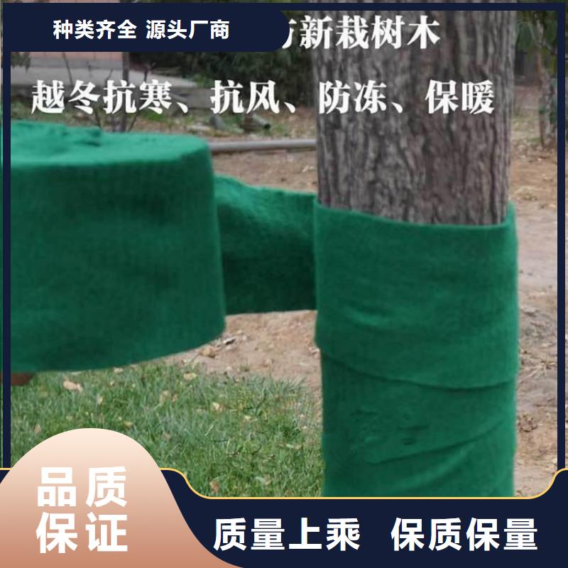树木养护带缠树无纺布条