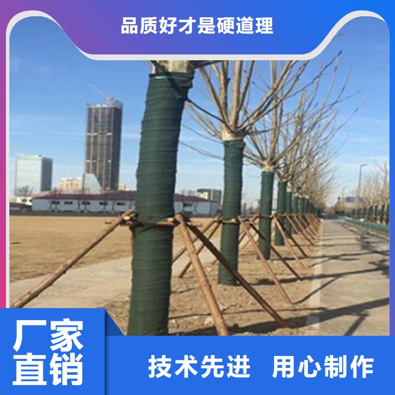 树木养护带缠树无纺布条