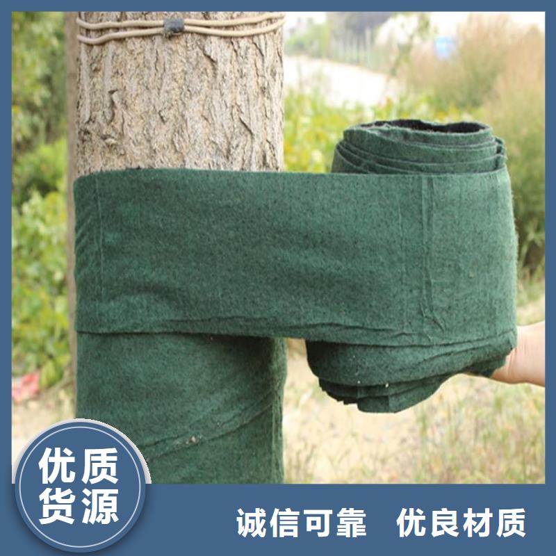 裹树带大树裹树布