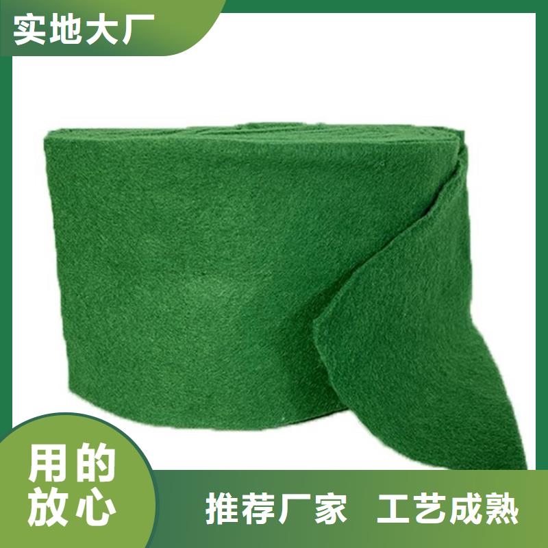 缠树养护布