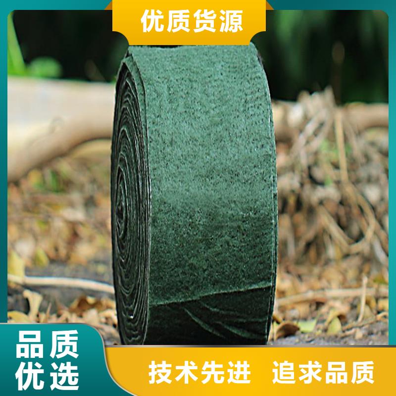 裹树带