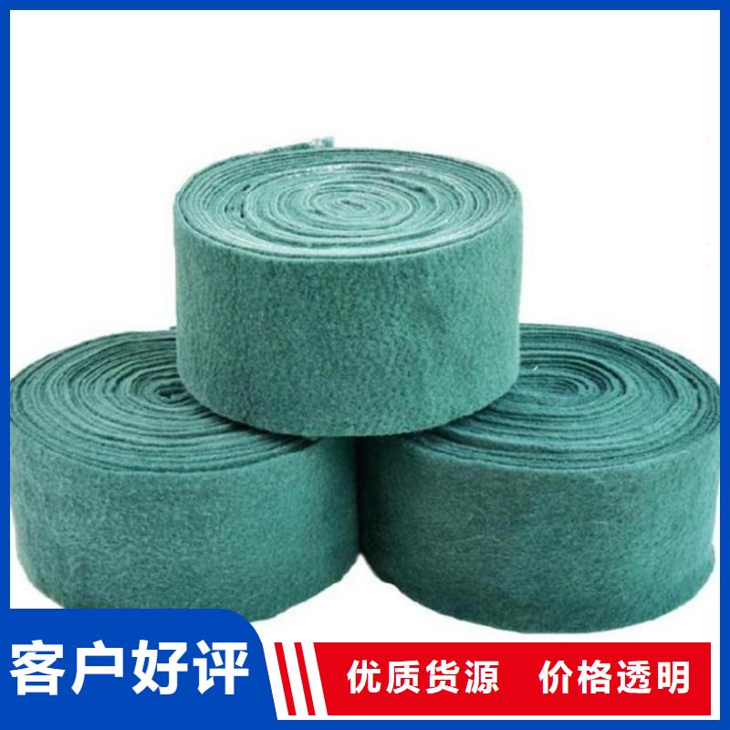 缠树养护布树木防冻防晒布