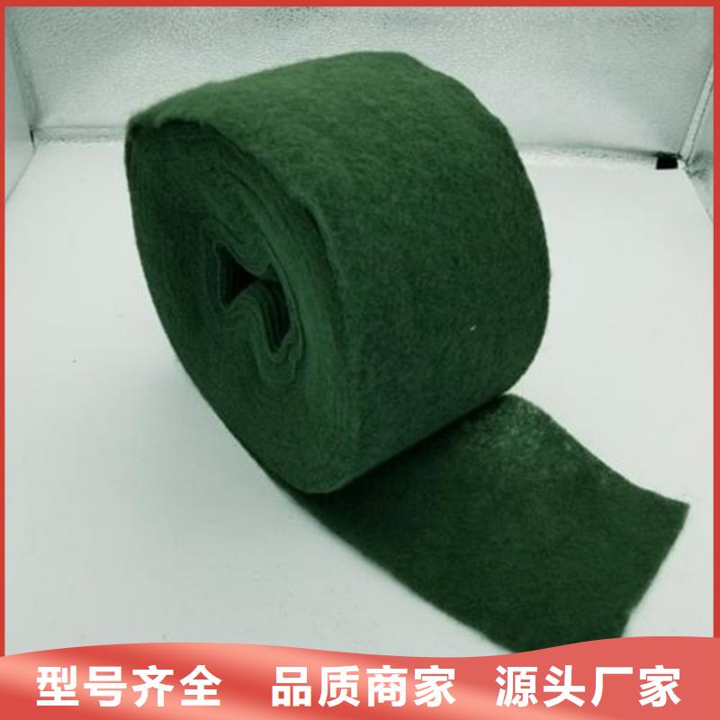 裹树毡