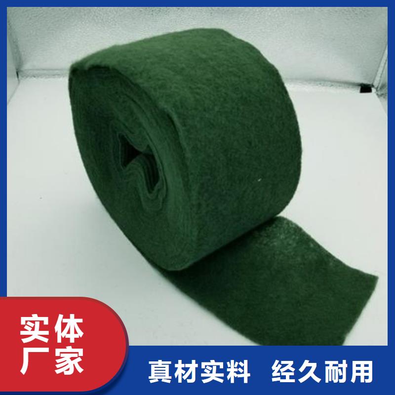 裹树布防水毯厂家技术完善