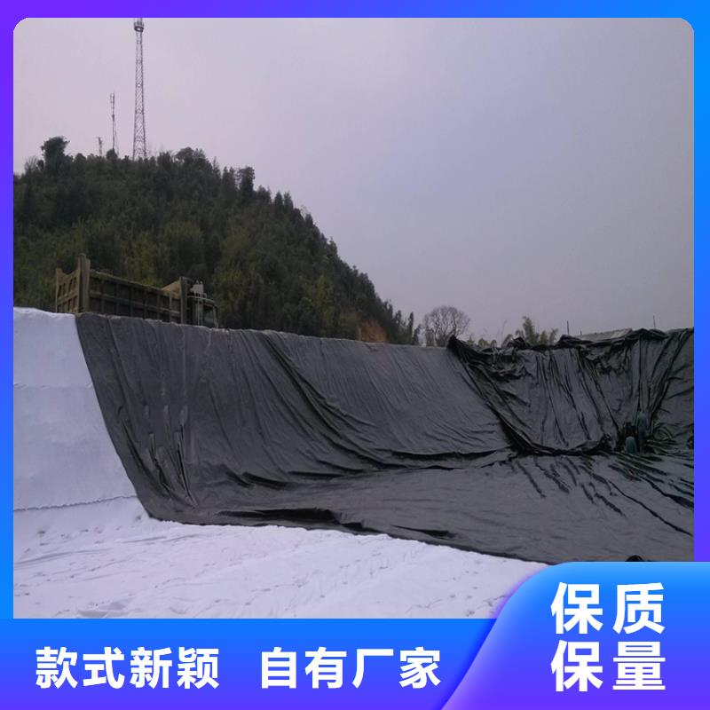 土工膜_HDPE土工膜敢与同行比价格