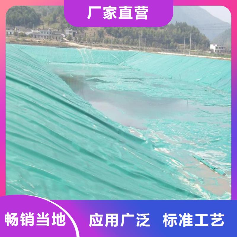 河道防渗土工膜
