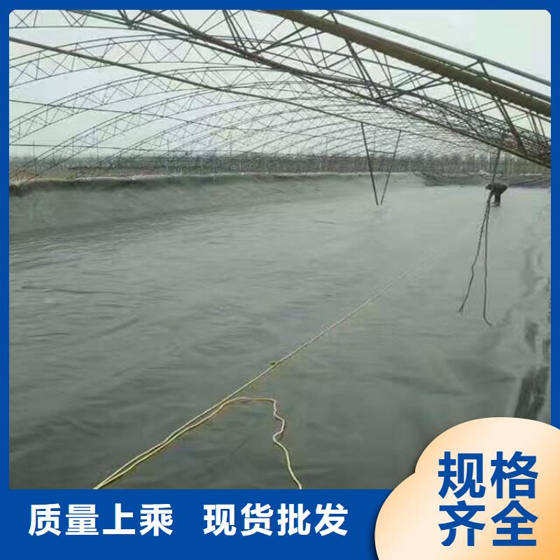 沼气池黑膜厂家供货