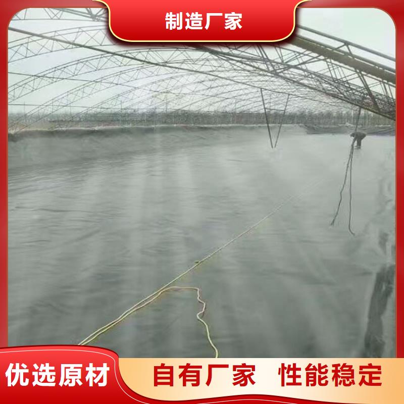 水渠聚乙烯防渗膜