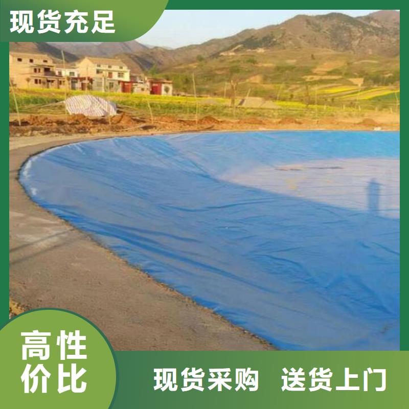 三布两膜复合土工膜
