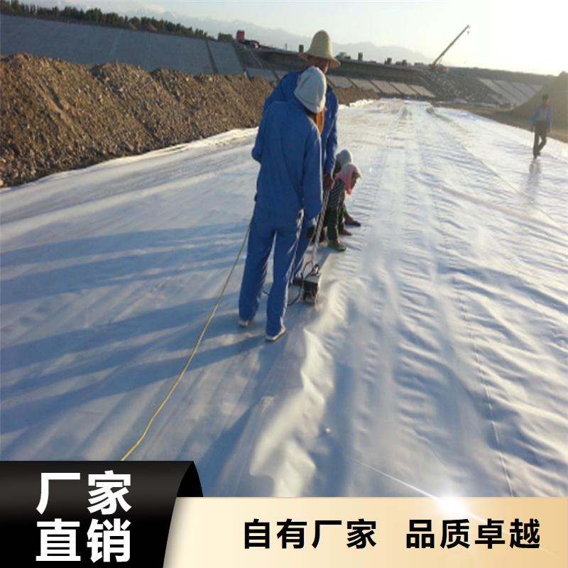 防渗土工膜产品