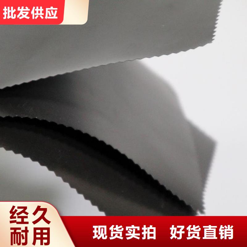 垃圾场聚乙烯土工膜