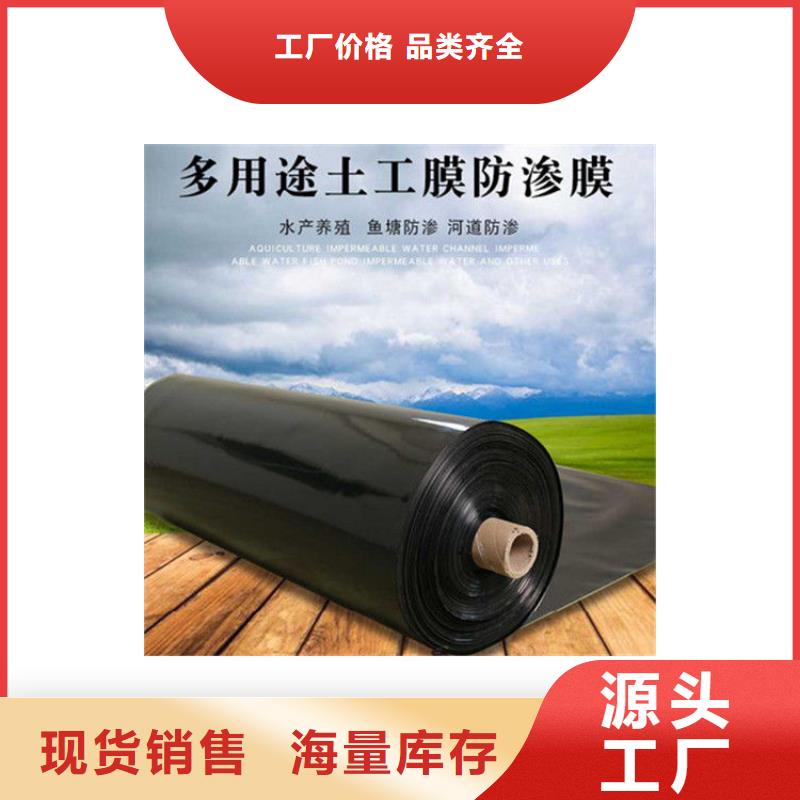 土工膜【单向塑料土工格栅】按需定制