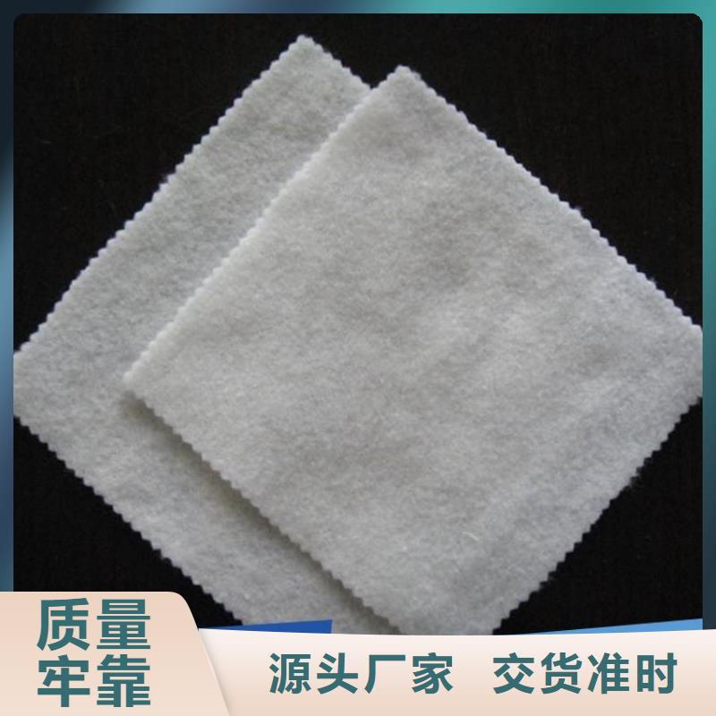 土工布-塑料土工格栅大厂生产品质