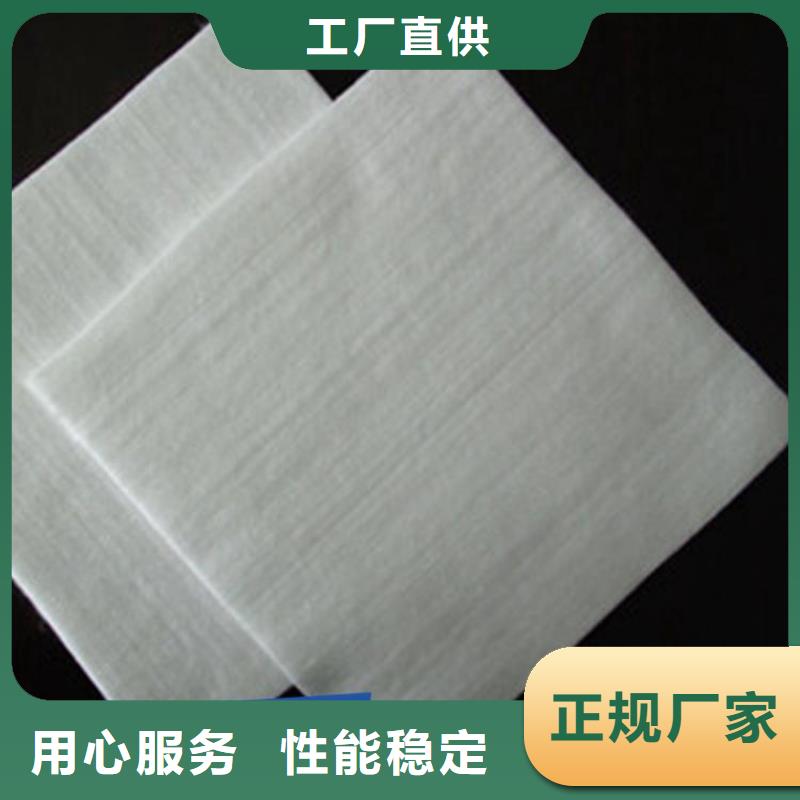 长丝无纺养护土工布