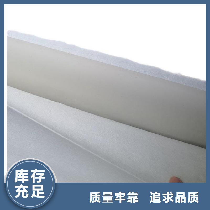 海南乐东县250g土工布