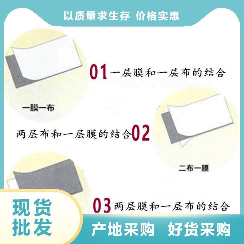 土工布膨润土防水毯随到随提