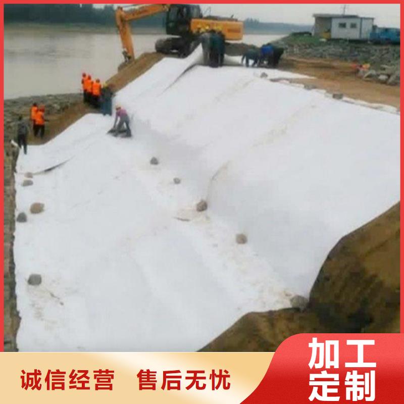 中齐防渗膜【 土工布 土工格栅价格低】