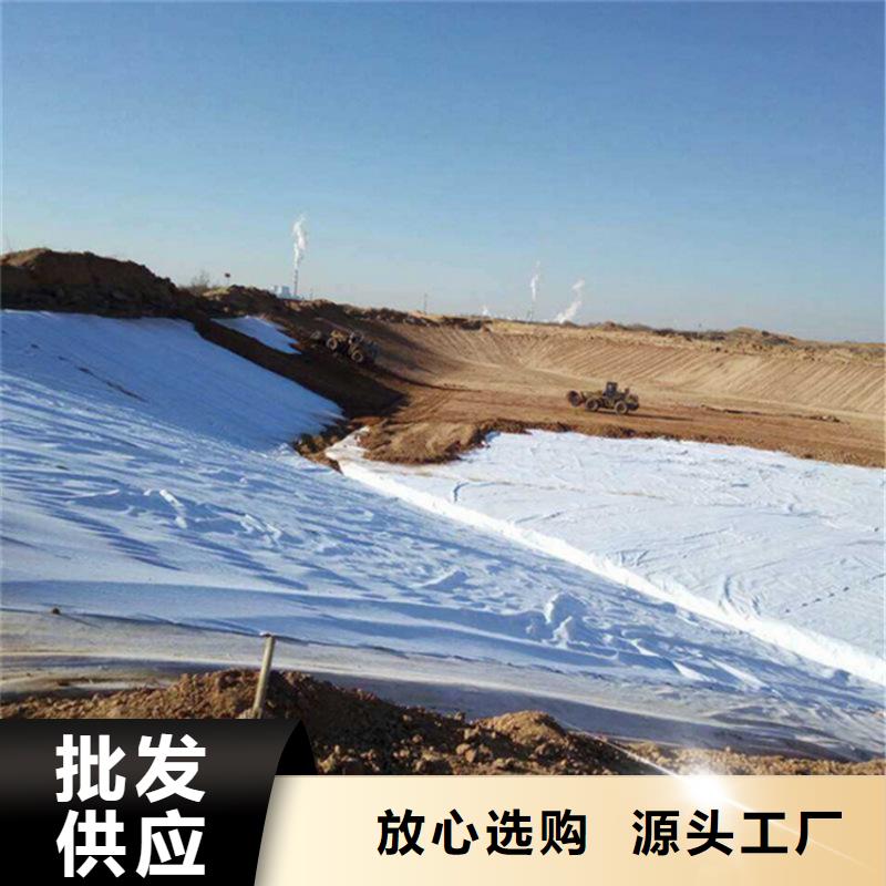 防渗复合土工布