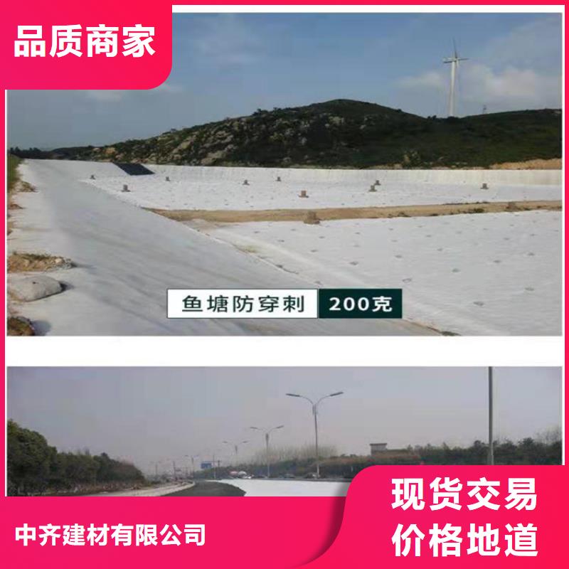 土工布-塑料土工格栅大厂生产品质
