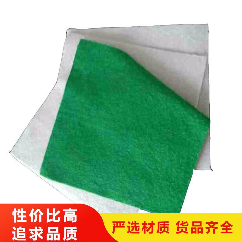 防渗无纺土工布