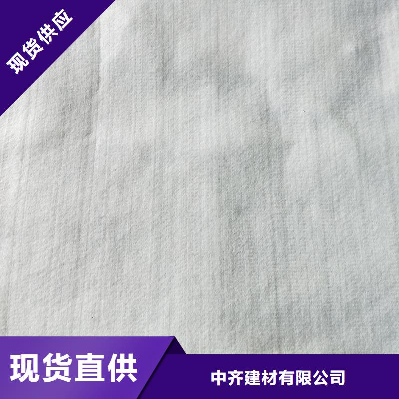 防渗无纺土工布