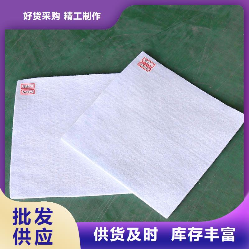 海南乐东县250g土工布