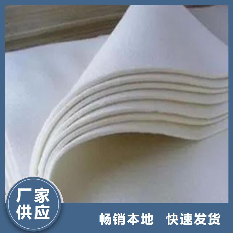 土工布膨润土防水毯随到随提