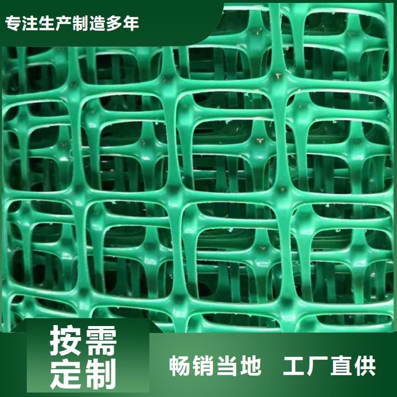 钢塑涤纶土工格栅