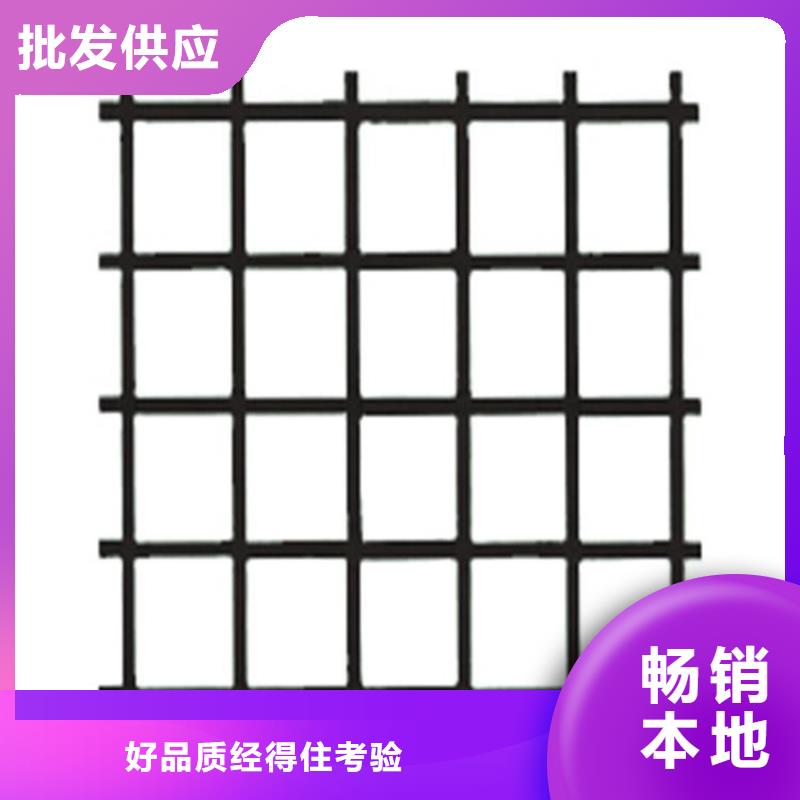 聚丙烯PE土工格栅