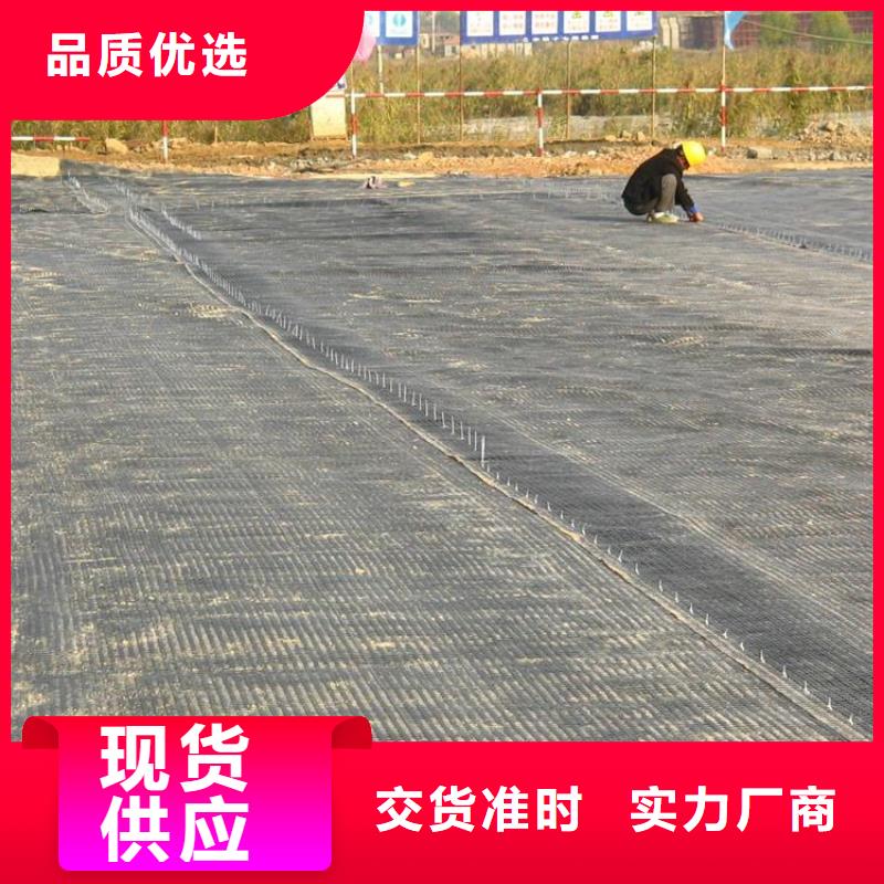 双向土工格栅