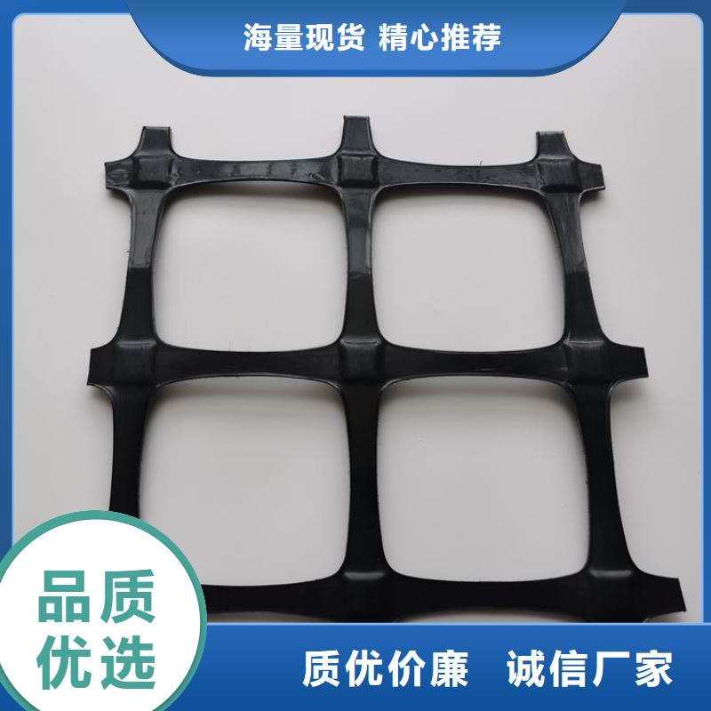 单向涤纶土工格栅
