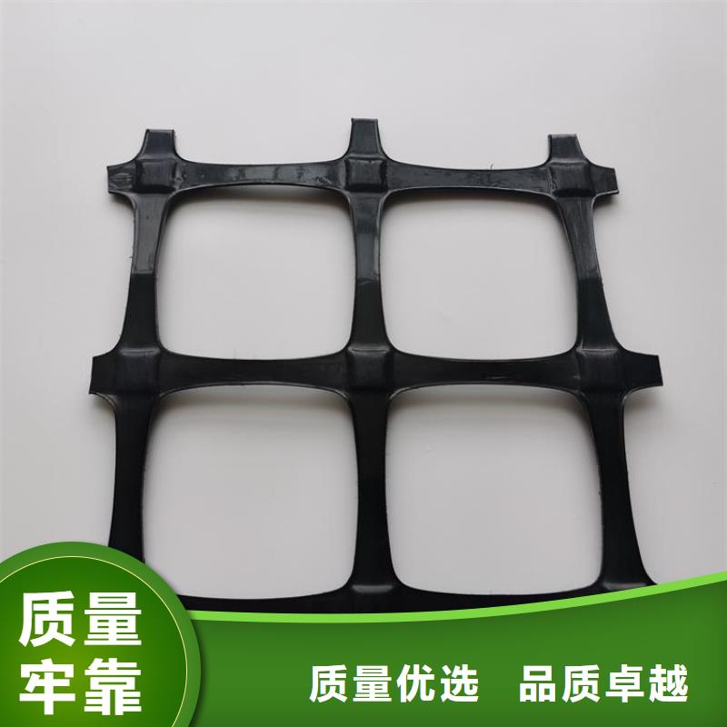 钢塑PE土工格栅