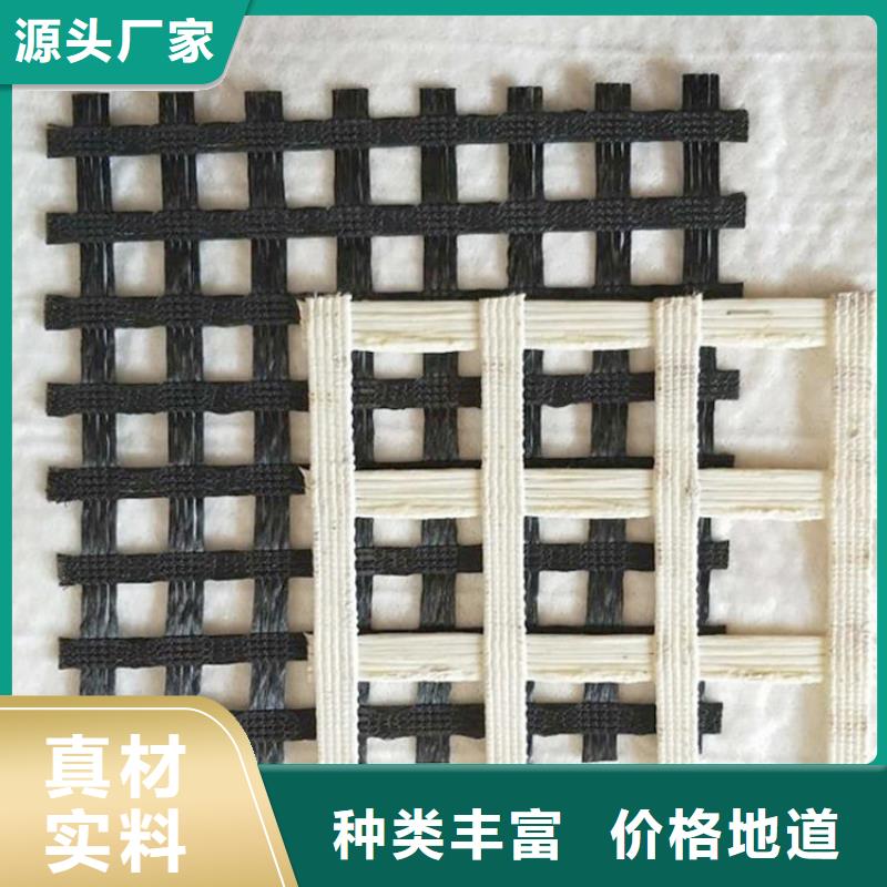 海南三沙市GSZ钢塑土工格栅