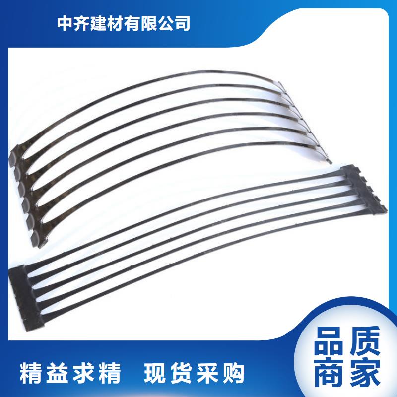 公路土工格栅