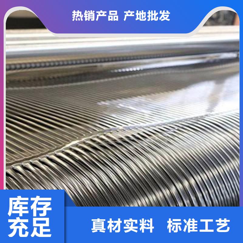 钢塑PE土工格栅