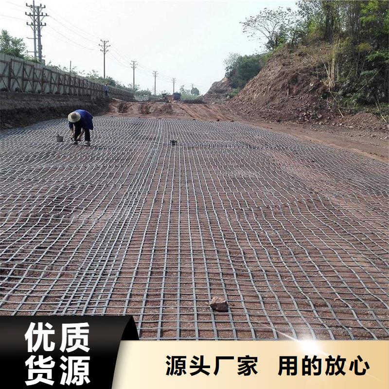 钢塑双向土工格栅