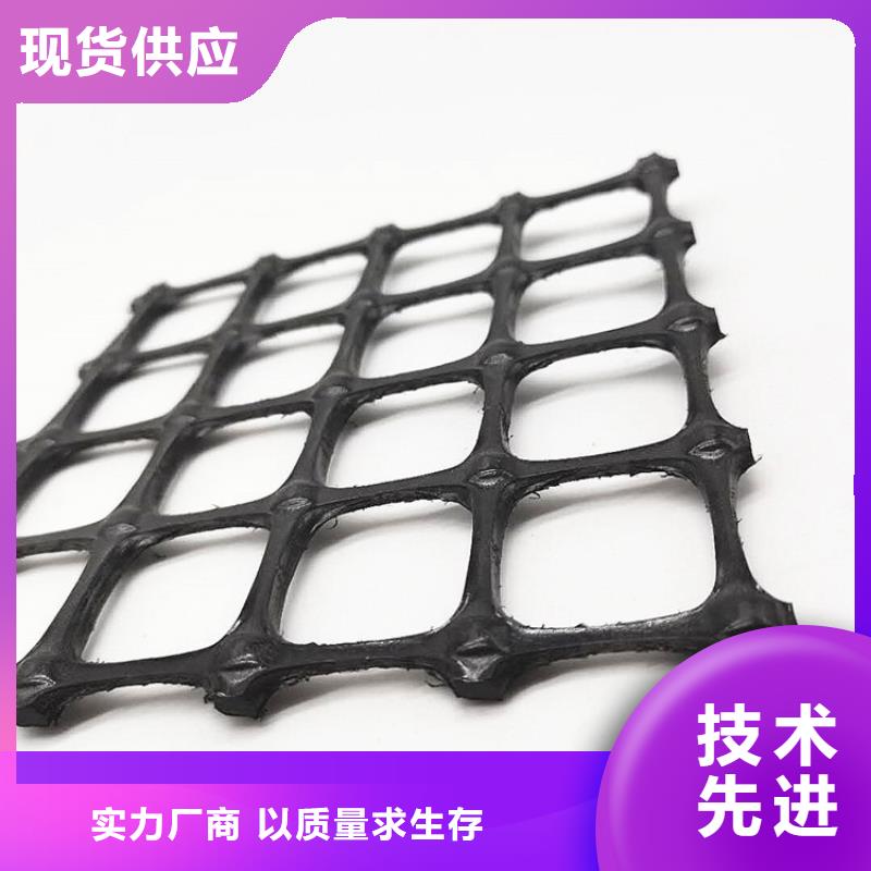 海南万宁市小网孔土工格栅