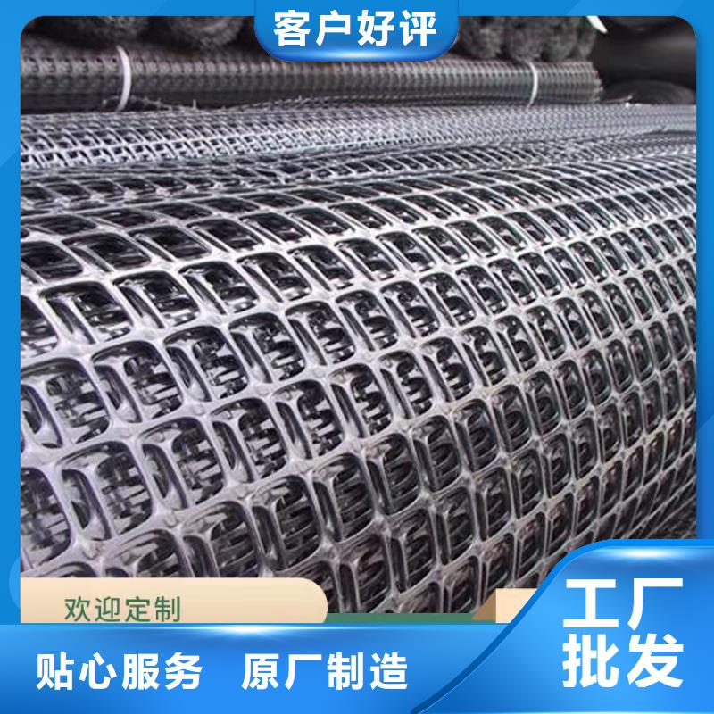 聚丙烯PE土工格栅