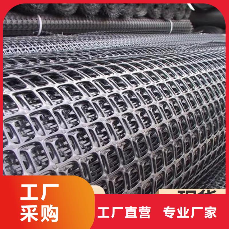 玻纤PE土工格栅