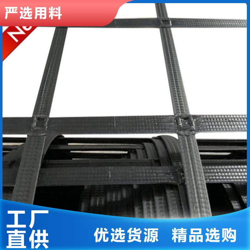 PE单向土工格栅