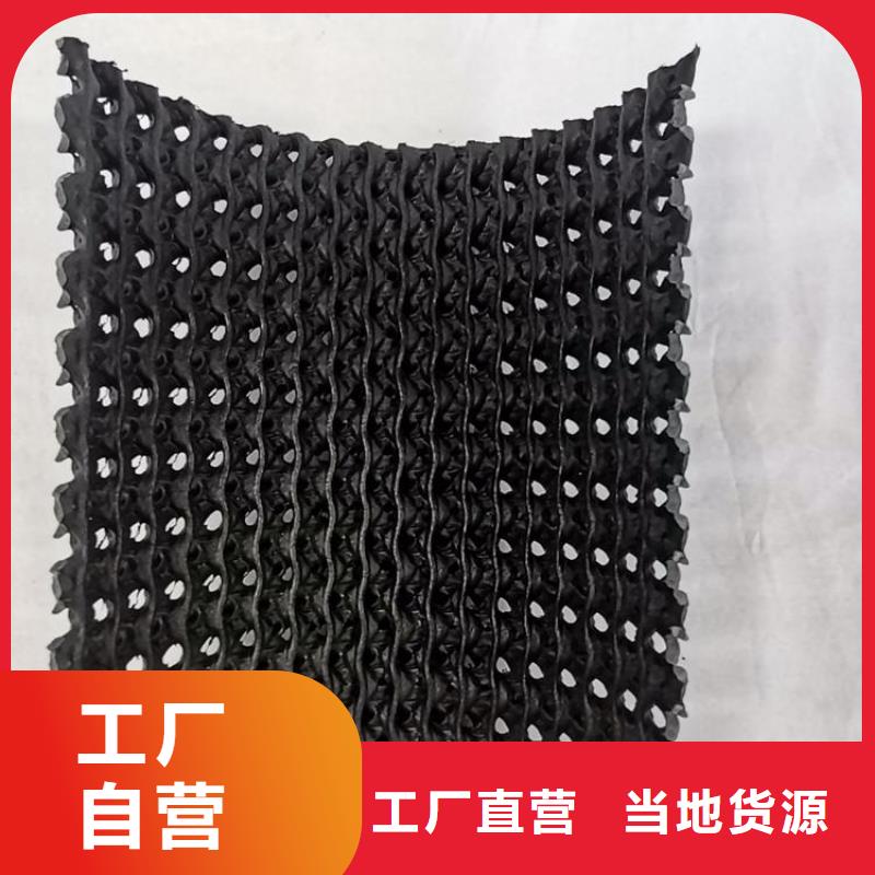 聚乙烯牙山网状PE硬式透水管