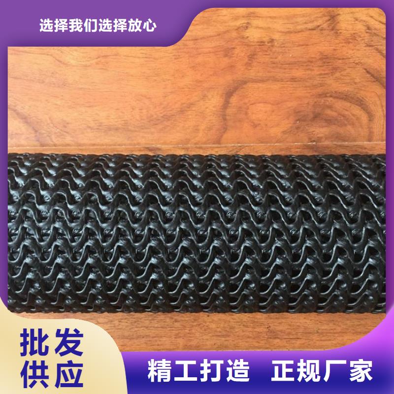 直径15050mmPE硬式透水管